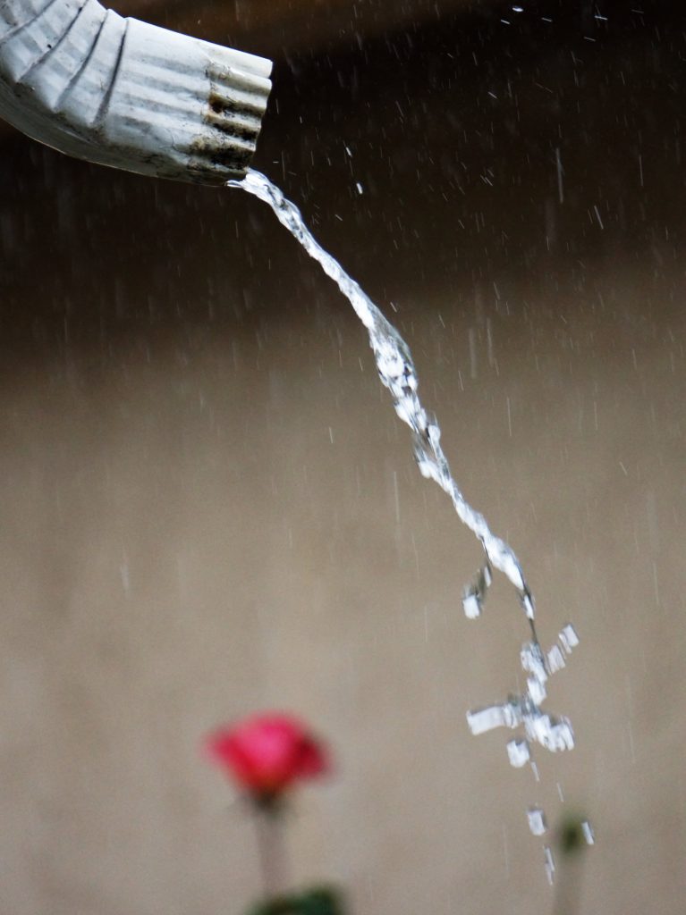 rain falling